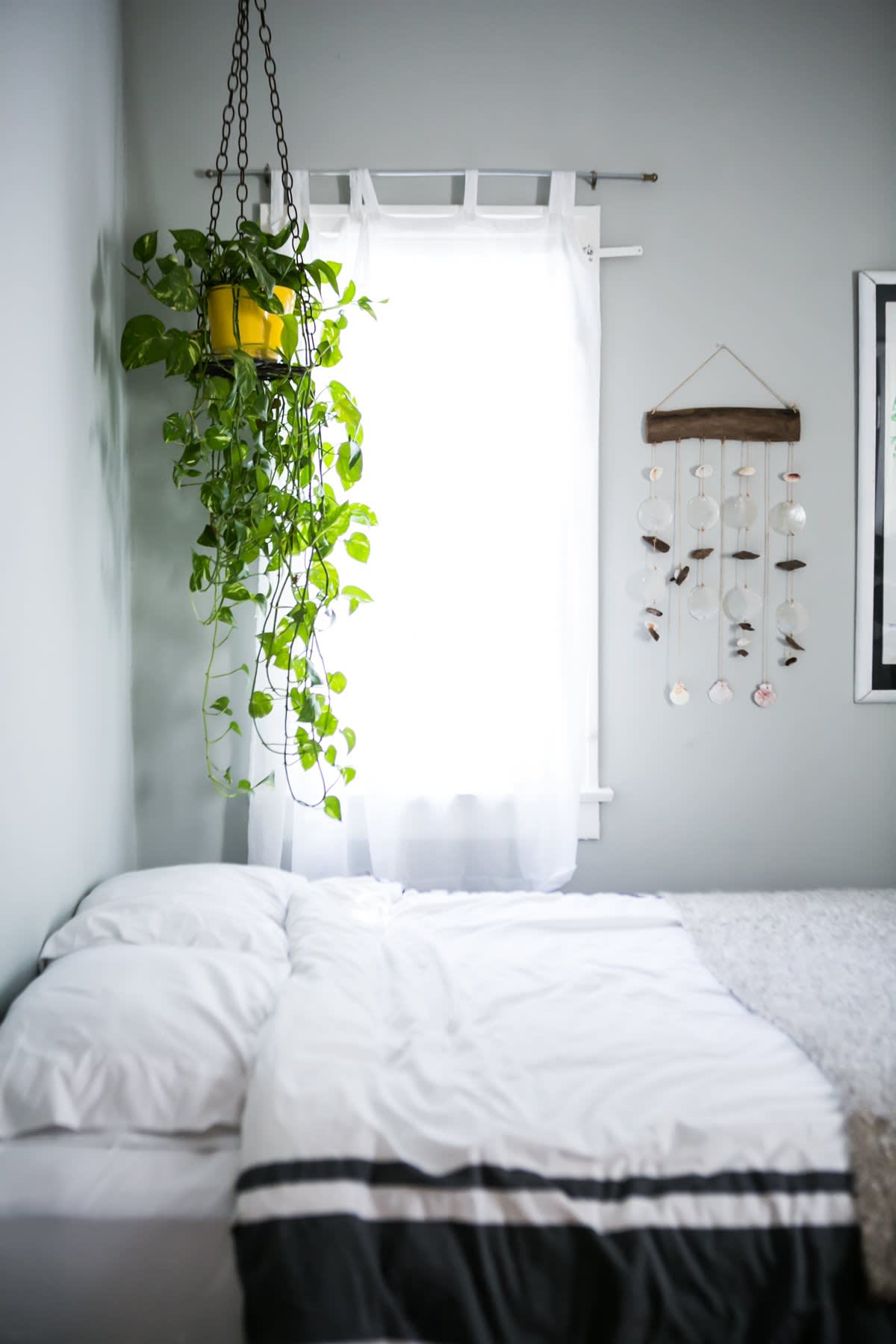 Hanging Plants In Bedroom Ideas - homes of heaven